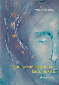 Vorderes Coverbild Paluu nummille ja muita kertomuksia