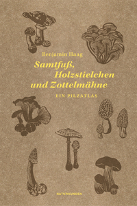 Vorderes Coverbild Samtfuß, Holzstielchen und Zottelmähne