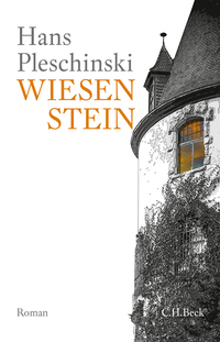 Vorderes Coverbild Wiesenstein