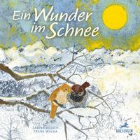 Vorderes Coverbild Ein Wunder im Schnee
