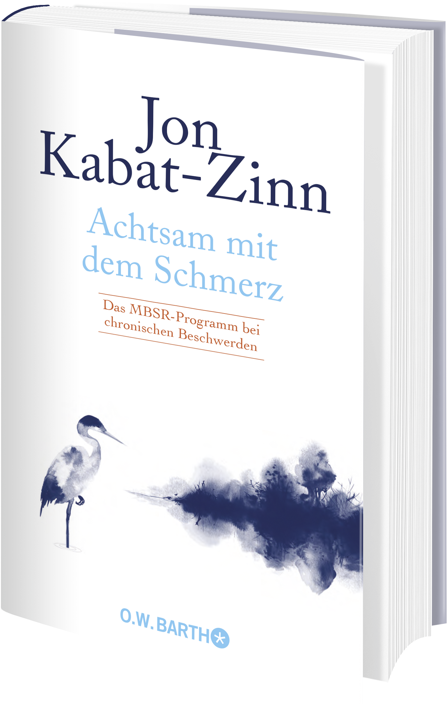 Anderes Coverbild Achtsam mit dem Schmerz
