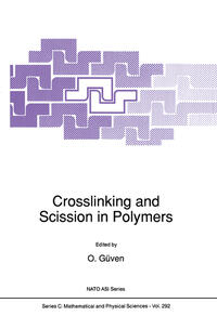 Vorderes Coverbild Crosslinking and Scission in Polymers