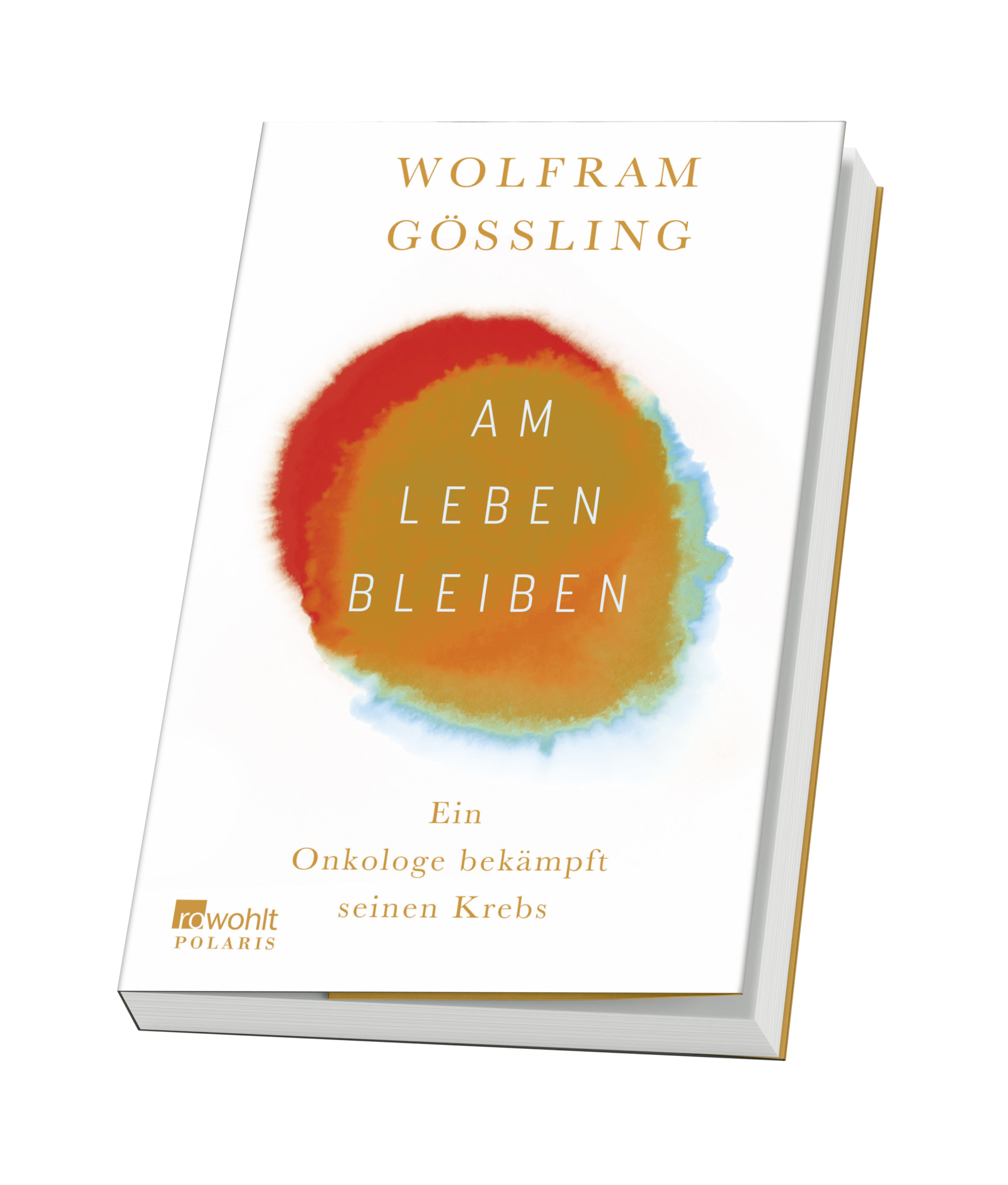 Anderes Coverbild Am Leben bleiben