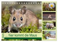 Vorderes Coverbild ... hier kommt die Maus ... (Tischkalender 2025 DIN A5 quer), CALVENDO Monatskalender