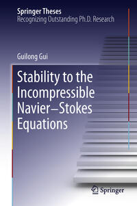 Vorderes Coverbild Stability to the Incompressible Navier-Stokes Equations