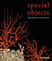 Vorderes Coverbild Special Objects
