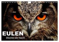 Vorderes Coverbild Eulen. Wächter der Nacht (Wandkalender 2025 DIN A4 quer), CALVENDO Monatskalender