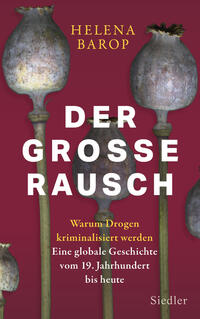 Vorderes Coverbild Der große Rausch