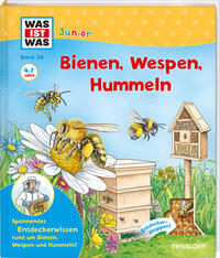 Vorderes Coverbild WAS IST WAS Junior Band 34 Bienen, Wespen, Hummeln
