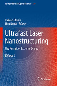 Vorderes Coverbild Ultrafast Laser Nanostructuring