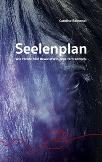Vorderes Coverbild Seelenplan