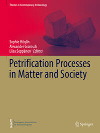 Vorderes Coverbild Petrification Processes in Matter and Society