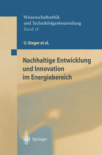 Vorderes Coverbild Nachhaltige Entwicklung und Innovation im Energiebereich