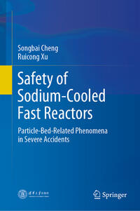 Vorderes Coverbild Safety of Sodium-Cooled Fast Reactors
