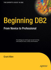 Vorderes Coverbild Beginning DB2
