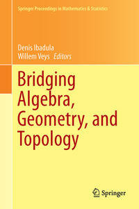 Vorderes Coverbild Bridging Algebra, Geometry, and Topology