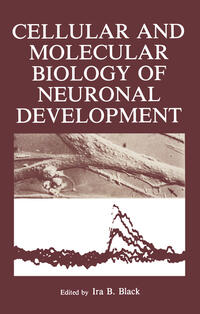 Vorderes Coverbild Cellular and Molecular Biology of Neuronal Development