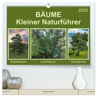Vorderes Coverbild Bäume Kleiner Naturführer (hochwertiger Premium Wandkalender 2025 DIN A2 quer), Kunstdruck in Hochglanz