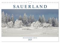Vorderes Coverbild SAUERLAND – Besondere Orte (Wandkalender 2025 DIN A4 quer), CALVENDO Monatskalender