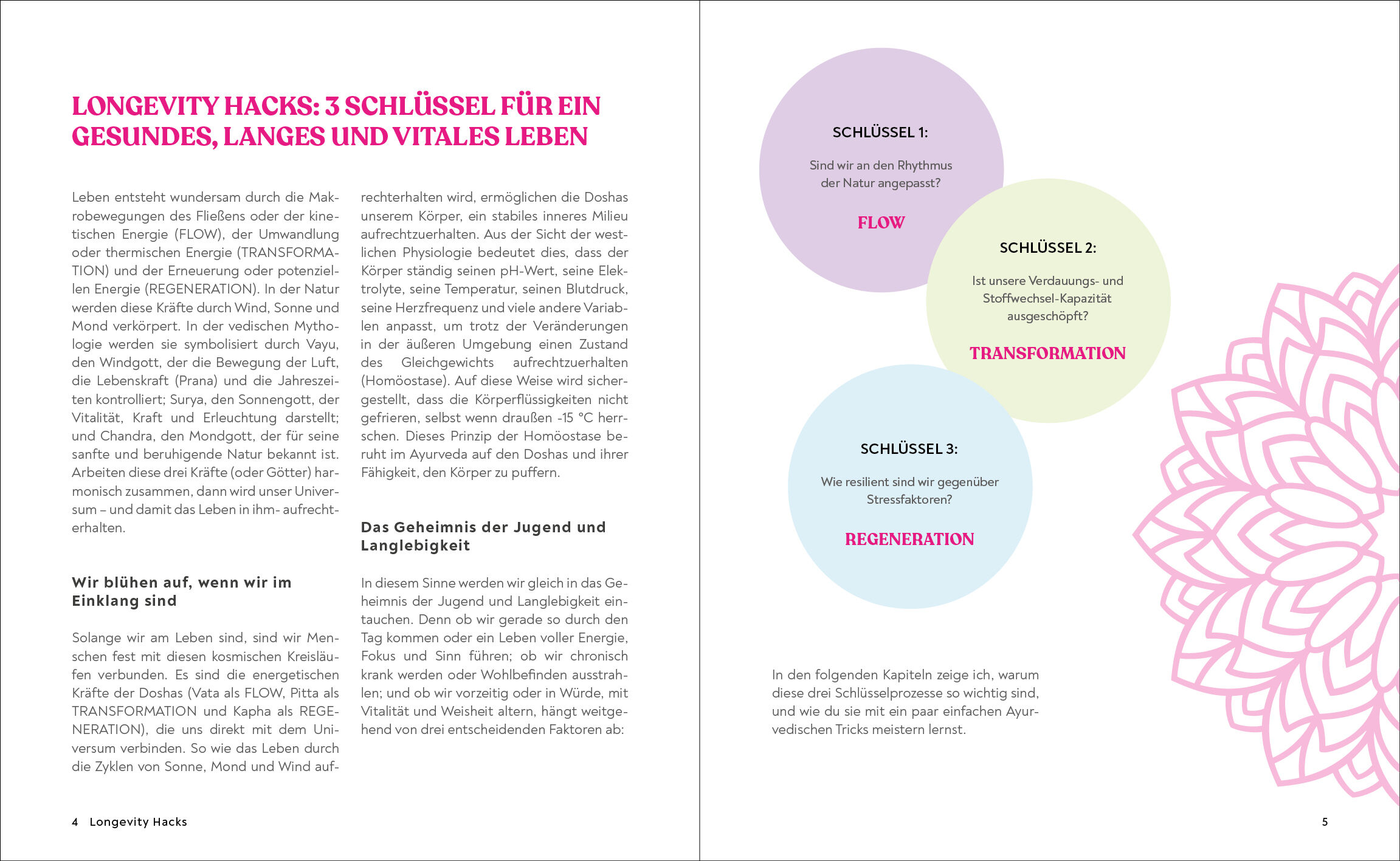 Beispielinhalt (Bild) Dein Ayurveda