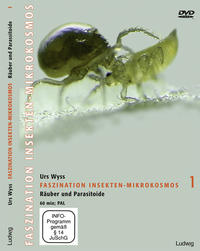 Vorderes Coverbild Faszination Insekten-Mikrokosmos 1 Räuber und Parasitoide