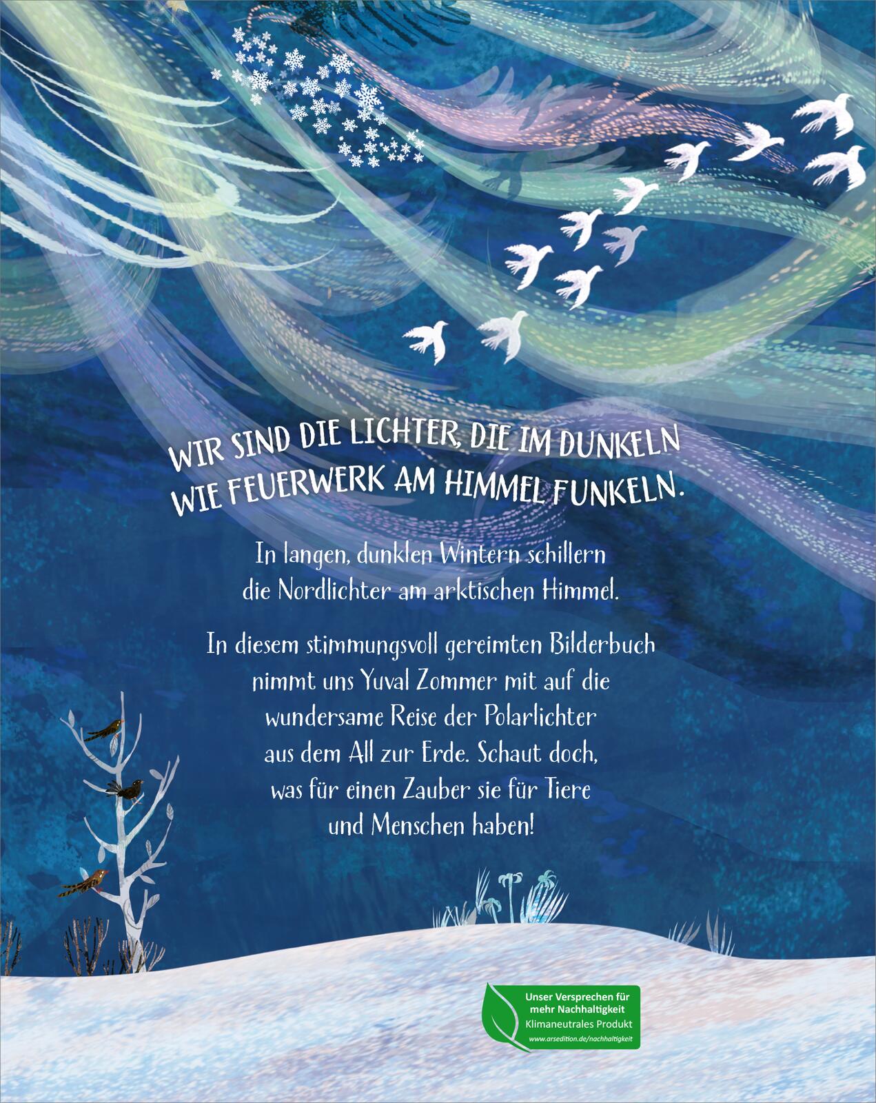 Rückseitencover Das Nordlichtwunder