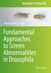 Vorderes Coverbild Fundamental Approaches to Screen Abnormalities in Drosophila