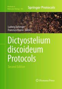 Vorderes Coverbild Dictyostelium discoideum Protocols