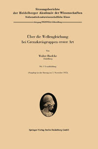 Vorderes Coverbild Über die Wellengleichung bei Grenzkreisgruppen erster Art