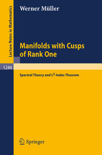 Vorderes Coverbild Manifolds with Cusps of Rank One