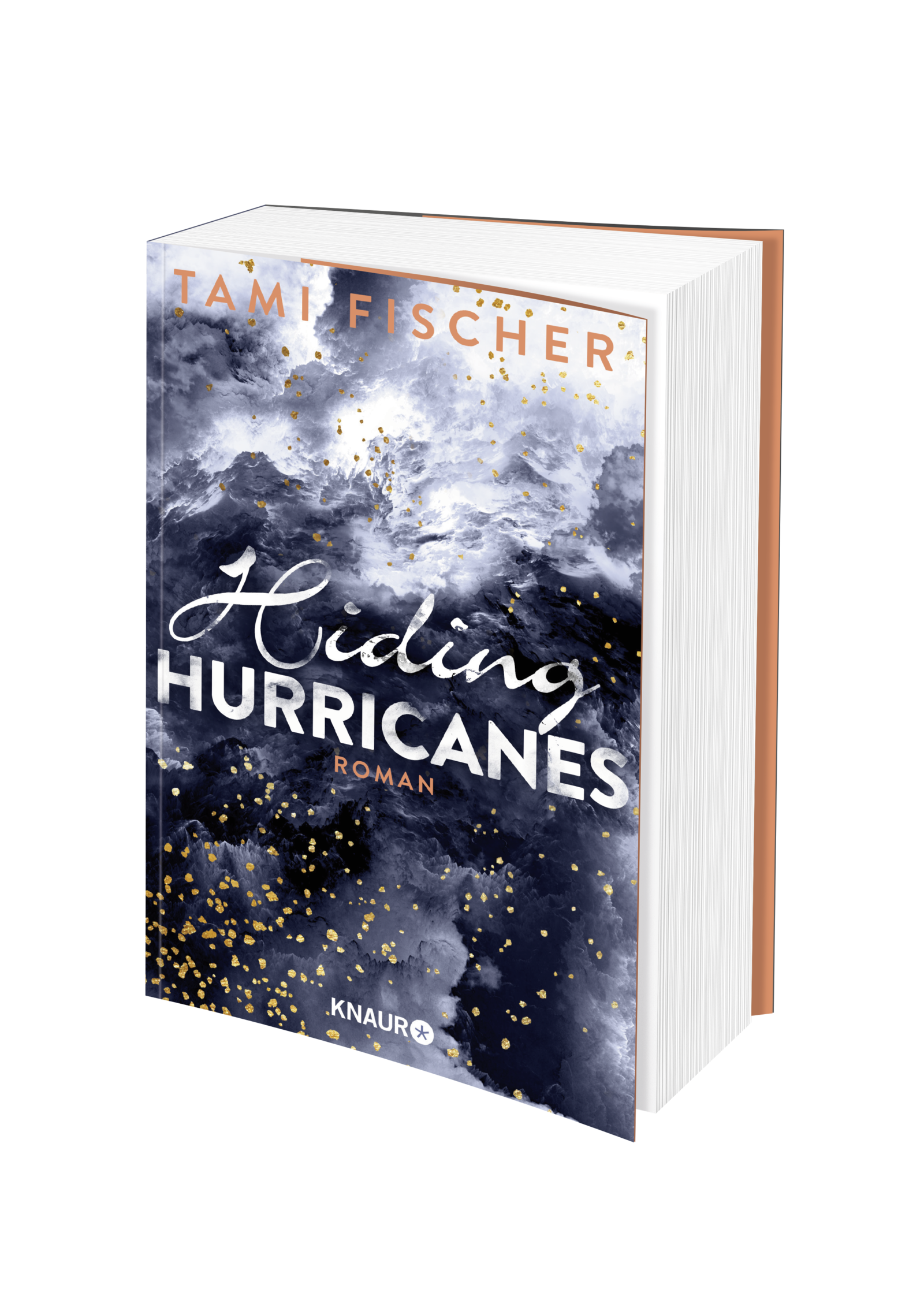 Beispielinhalt (Bild) Hiding Hurricanes