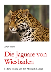 Vorderes Coverbild Die Jaguare von Wiesbaden