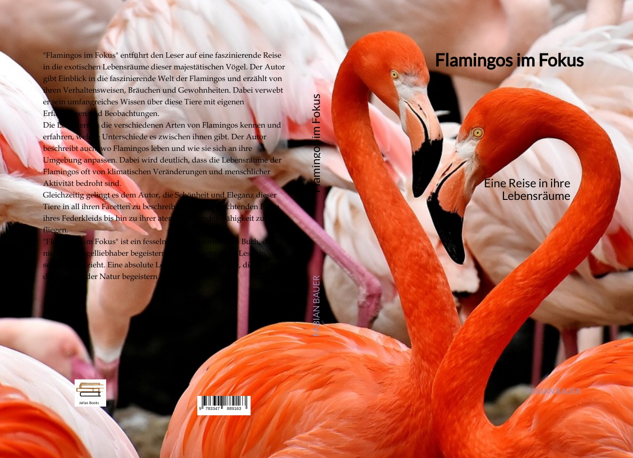 Gesamtes Coverbild Flamingos im Fokus