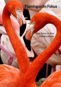 Vorderes Coverbild Flamingos im Fokus