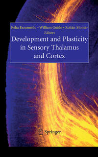 Vorderes Coverbild Development and Plasticity in Sensory Thalamus and Cortex