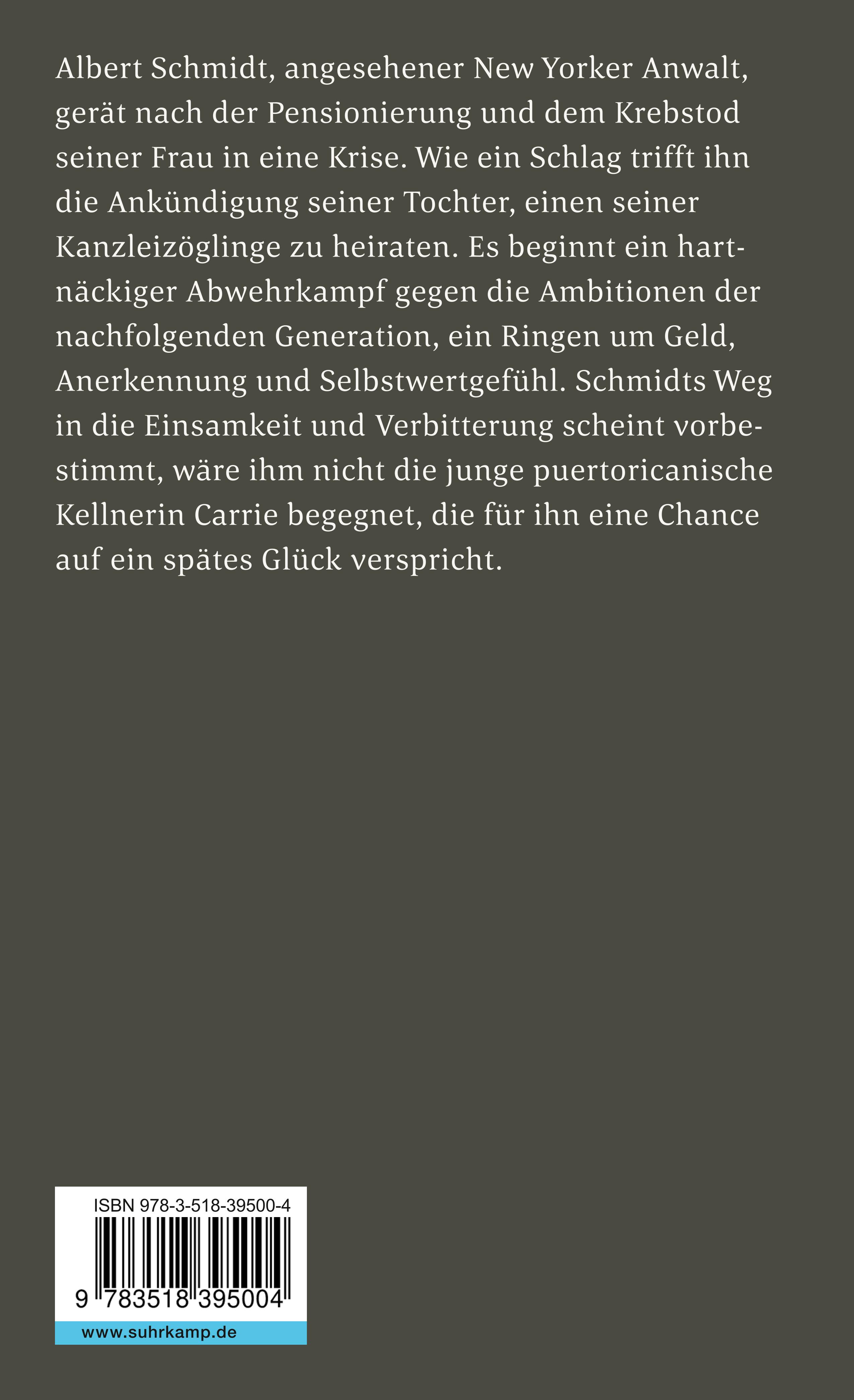 Rückseitencover Schmidt