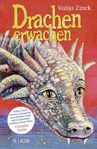 Vorderes Coverbild Drachenerwachen