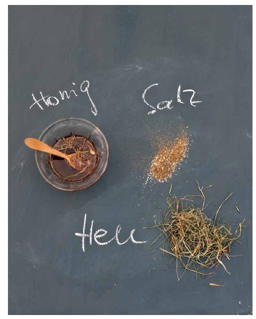 Beispielinhalt (Bild) Rose, Schwein & Feigenblatt