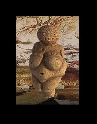 Vorderes Coverbild VENUS