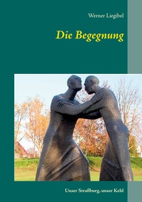 Vorderes Coverbild Die Begegnung