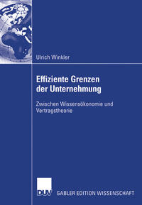 Vorderes Coverbild Effiziente Grenzen der Unternehmung