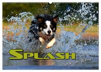 Vorderes Coverbild SPLASH - Hunde im Wasser (Wandkalender 2025 DIN A2 quer), CALVENDO Monatskalender