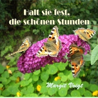 Vorderes Coverbild Halt sie fest, die schönen Stunden