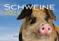 Vorderes Coverbild Schweine Kalender 2025