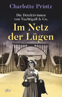 Vorderes Coverbild Im Netz der Lügen