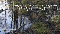 Vorderes Coverbild ABWESEN