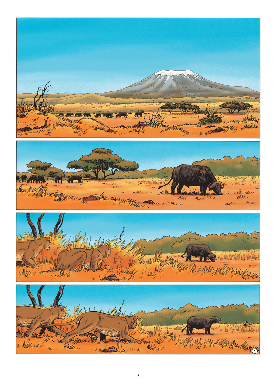 Beispielinhalt (Bild) Kenya. Band 5
