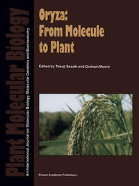 Vorderes Coverbild Oryza: From Molecule to Plant