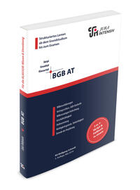 Vorderes Coverbild BGB AT