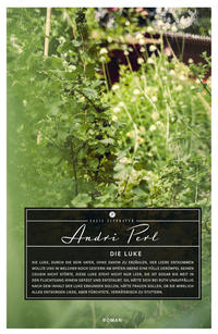 Vorderes Coverbild Die Luke